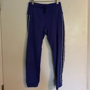 Tea Collection Blue Jogger Pants with Side Stripes